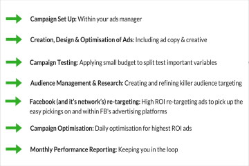 The 90 day paid traffic profit program